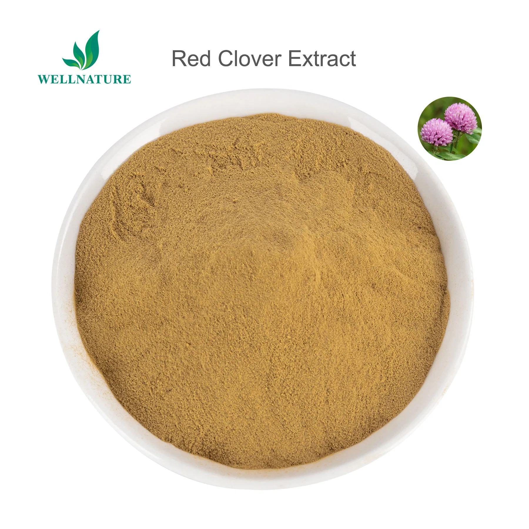 Standardized 40% Isoflavones Content for Dietary Supplement and Nutraceutical Formulations Red Clover Extract