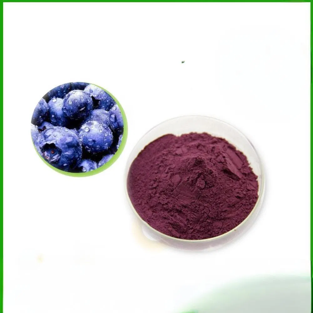 Higher Quality Natural Fruit Powder Bilberry Extract with 25% Anthocyanidins 36% Anthocyanins