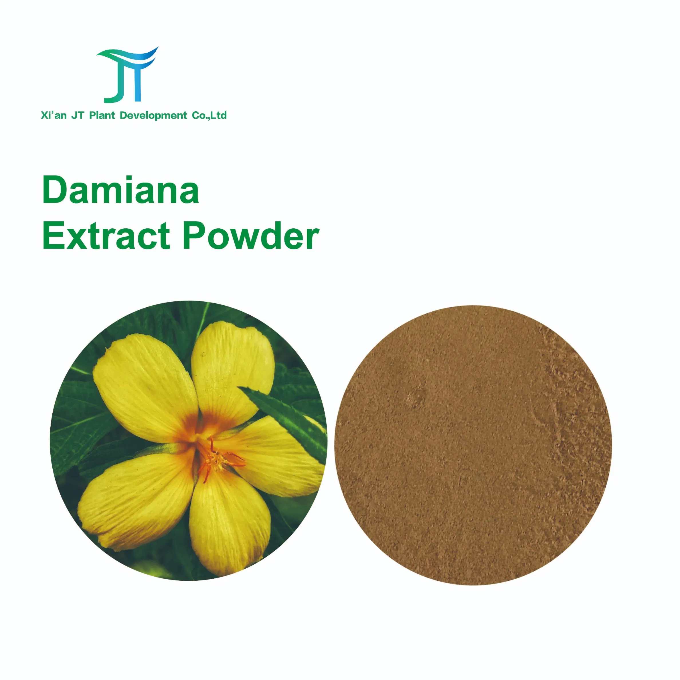 Damiana Extract Powder Enhancing Sexual Function Herbal