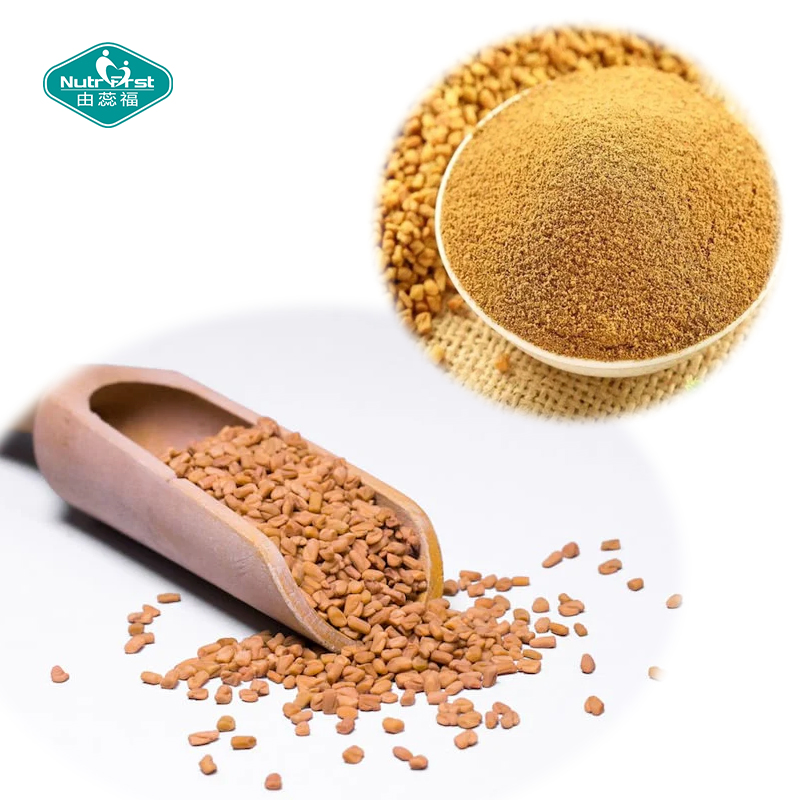 Food Grade High-Quality Plant Extract Raw Material Fenugreek Extract Seed Powder