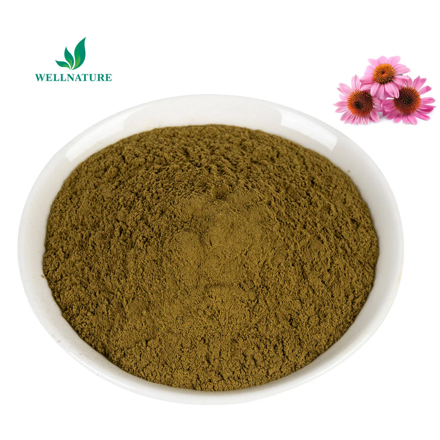 Standardized 5% Chlorogenic Acid for Dietary and Metabolic Supplements Eucommia Ulmoides Extract