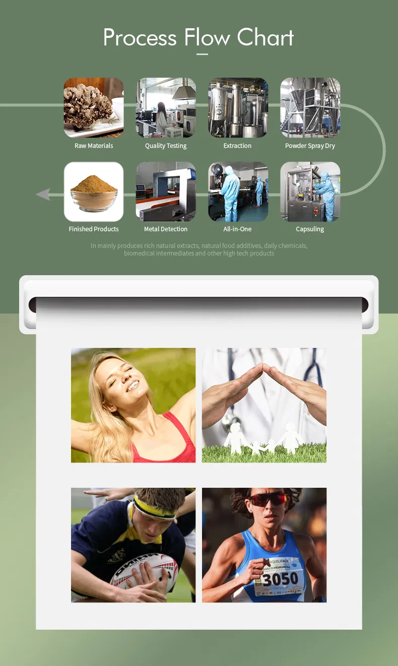 Maitake Mushroom Extract Powder