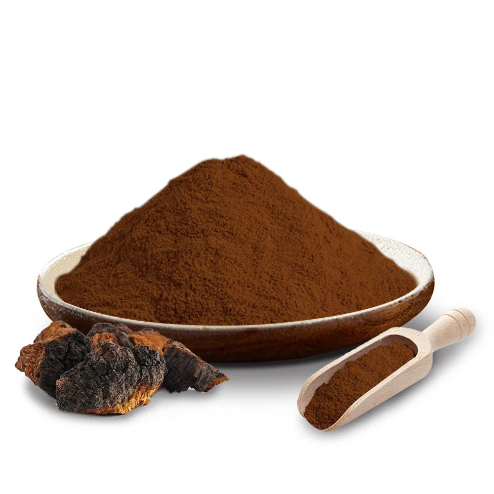 Bulk Customization of Chaga Mushroom Extract Powder Plant Extract Medicinal Mushroom