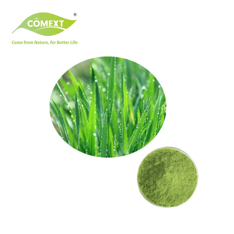 Comext Natural Commercial Plant Extract Supplement Organic Wheatgrass Wheat Grass Powder