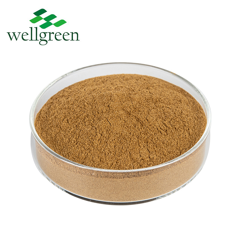 Supplement Use Green Tea Extract Powder EGCG 98% Polyphenols