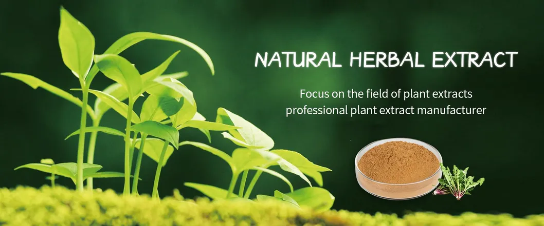 Oliver Leaf Extract Banner