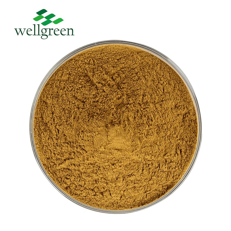 Natural Herbal 10: 1 20: 1 Sapindus Extract Powder Soap Nut Extract