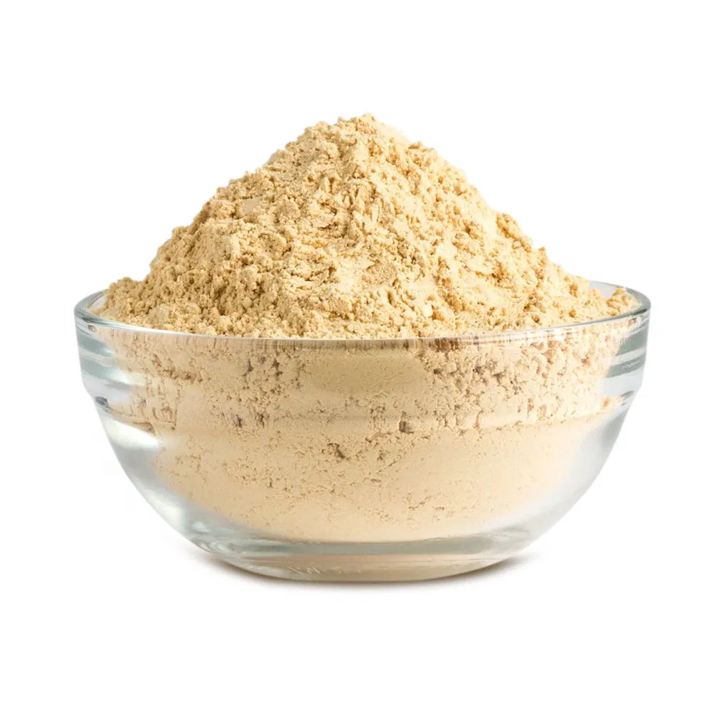 Organic Lion's Mane 100% Pure Powder Medicinal Mushroom Extract Herbal Plant