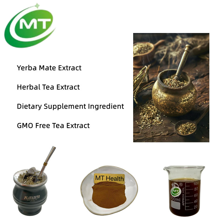 Natural GMO Free Herbal Supplement Ingredient Dietary Supplement Tea Extract Yerba Mate Extract
