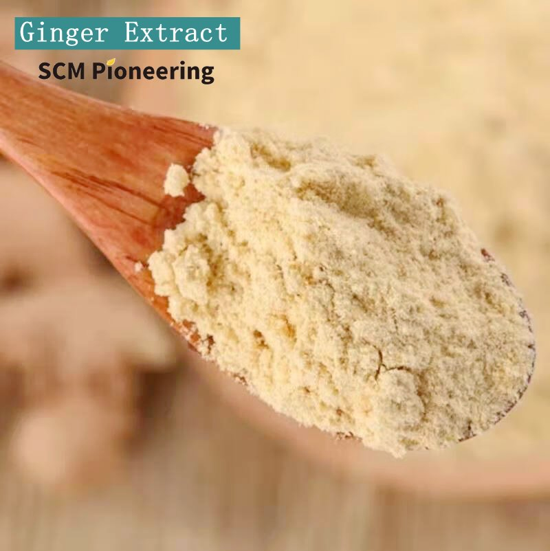 Natural Gingerol 1% Water Soluble Ginger Extract