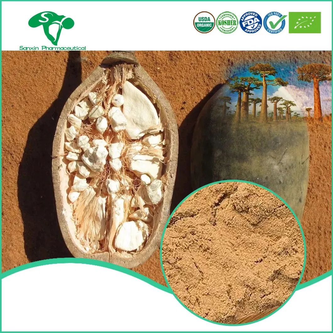 Premium Organic Baobab Fruit Extract 10: 1 for Ultimate Wellness
