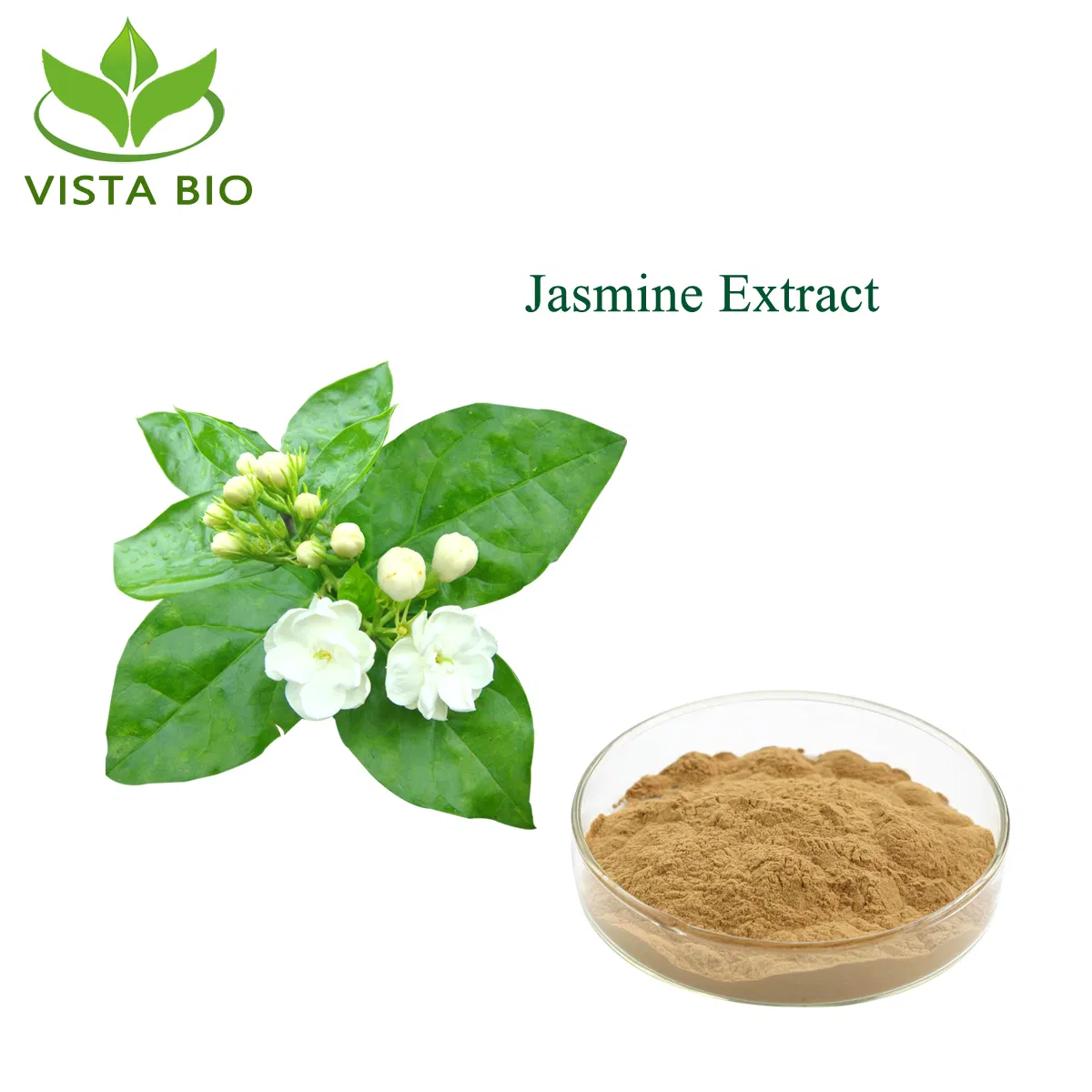 Factory Supply 100% Natural Plant Extract Pharmaceutical &amp; Food Grade 20% Polyphenols Jasmine Tea Extract