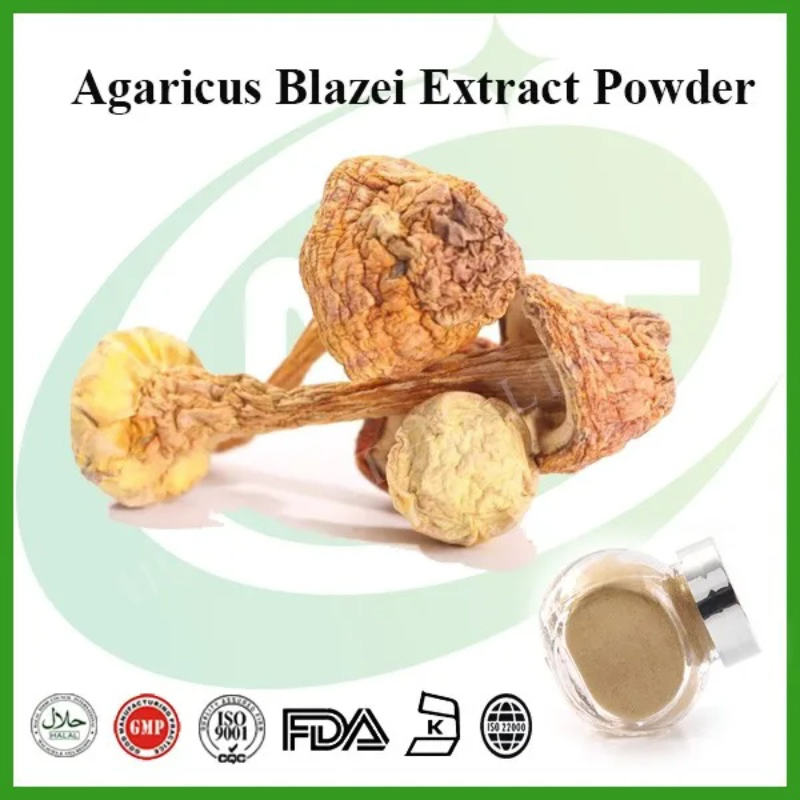 Food Grade Agaricus Blazei Mushroom Extract Water-Soluble Plant Concentrated Extract