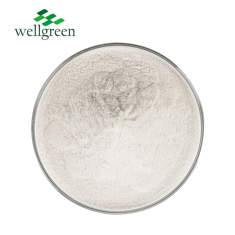 Organic Wild Yam Root Extract Yam Powder Natural Plant Wild Yam Extract 98% Diosgenin