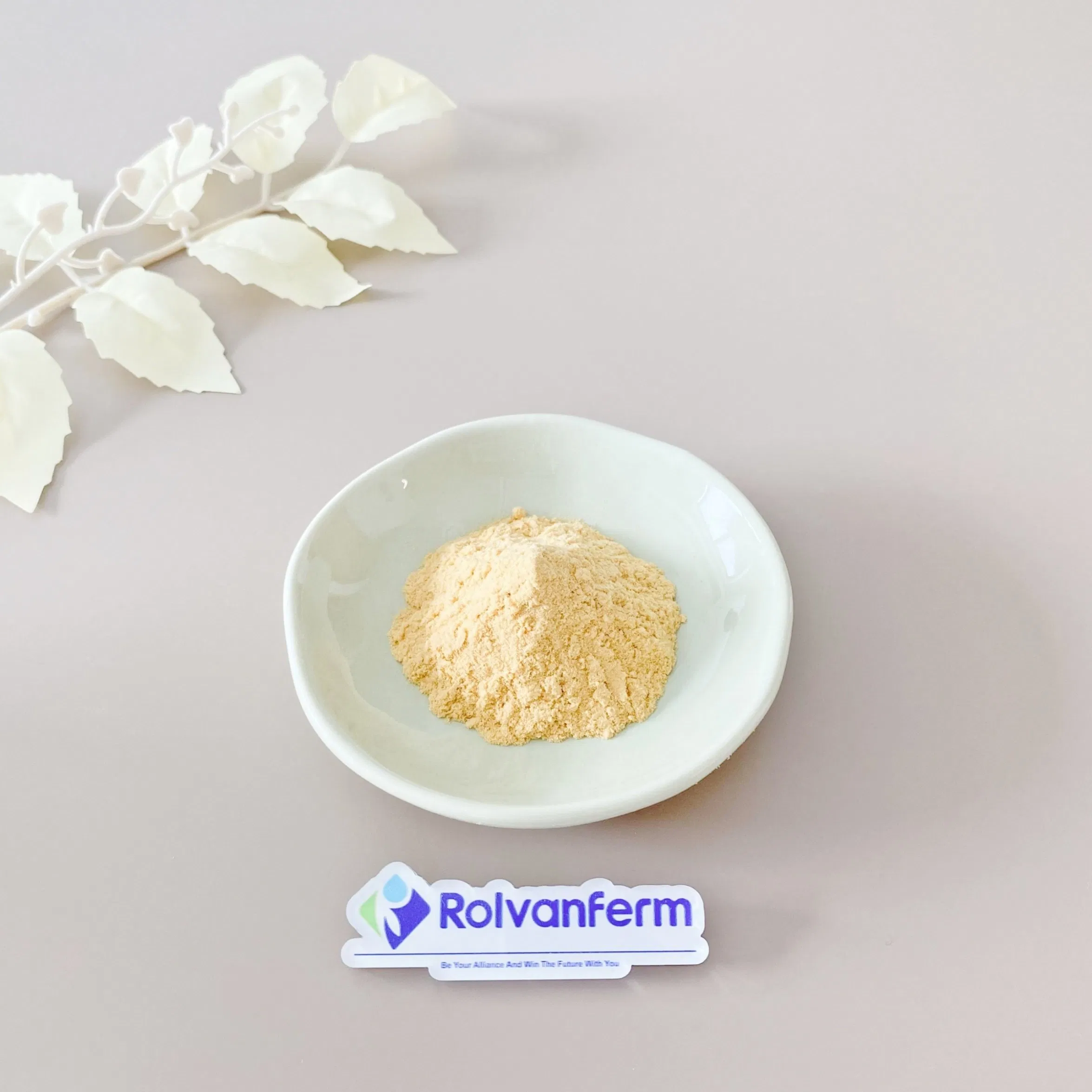 Standardized High Purity Fucoidan Extract From Undaria Pinnatifida or Fucus Vesiculosus for Consistent Bioactivity and Potency in Supplements Fucoidan