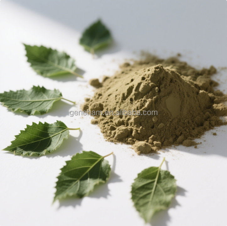 Natural Dnj Mulberry Leaf Extract 1-Deoxynojirimycin Food Grade Plant Extract