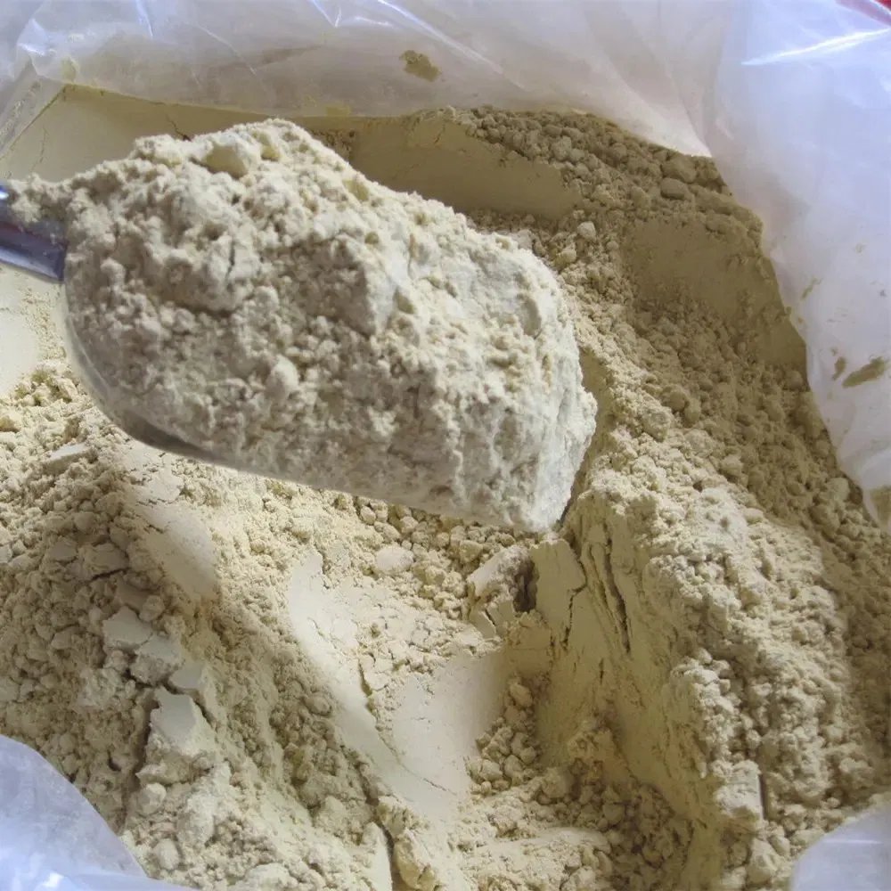 Ginger Extract Close up