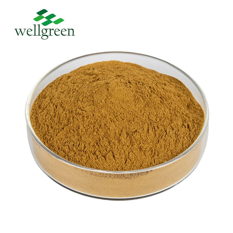 Natural Herbal 10: 1 20: 1 Sapindus Extract Powder Soap Nut Extract