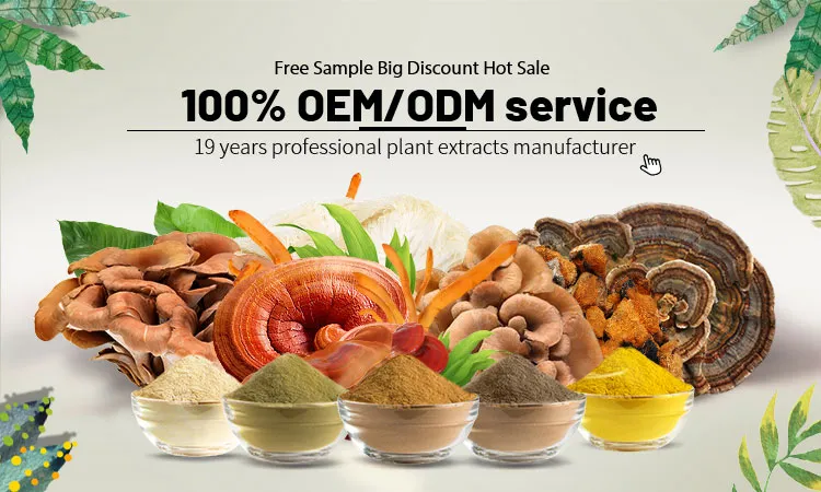 Mushroom Extract Powder