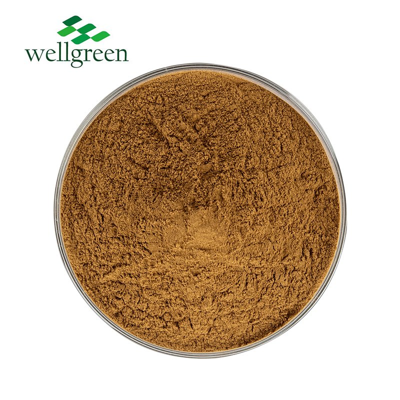 Natural Herbal Feed Additive Galla Chinensis Extract Powder Gallnut Extract