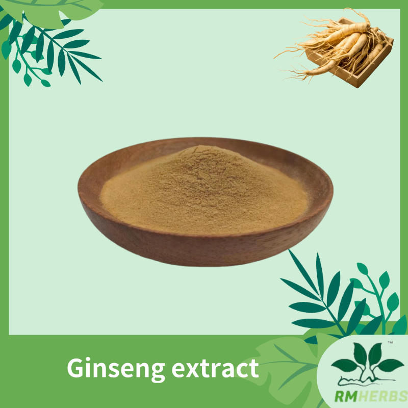 Premium Ginseng Energy Boost Extract for Enhanced Vitality