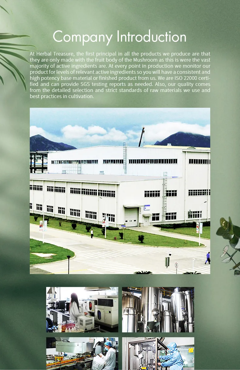 Maitake Mushroom Extract Powder