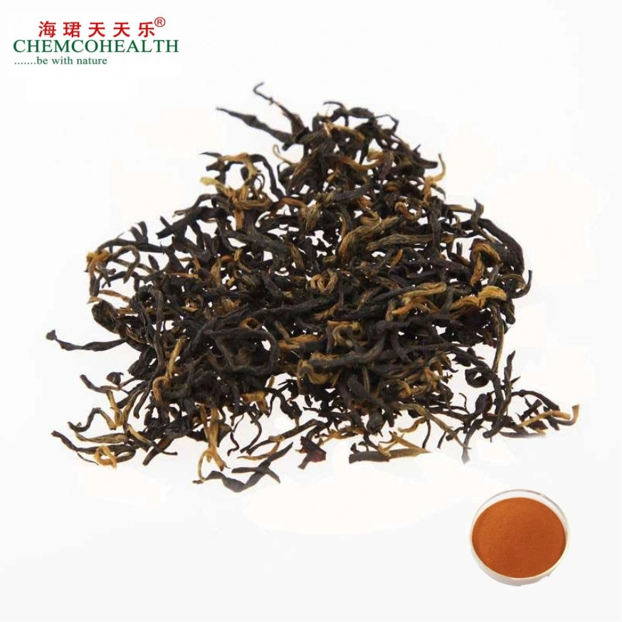 Natural Herbal Black Tea Extract with High Content of Theaflavins