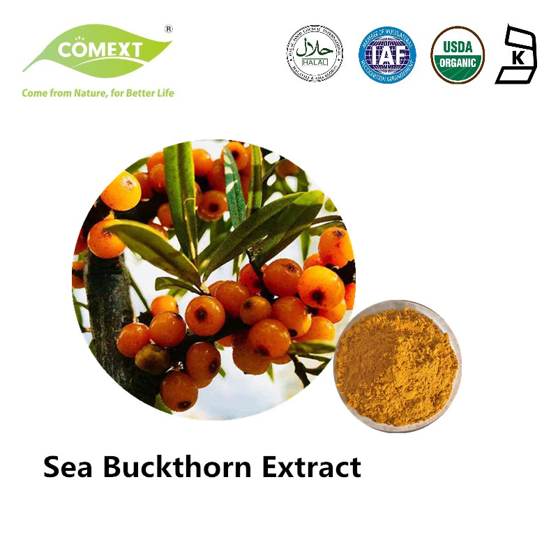 Comext Food Grade Sea Buckthorn Powder Plant Extract 40% Flavonoids