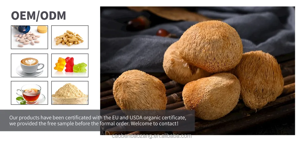 Lion's Mane Bulk Extract