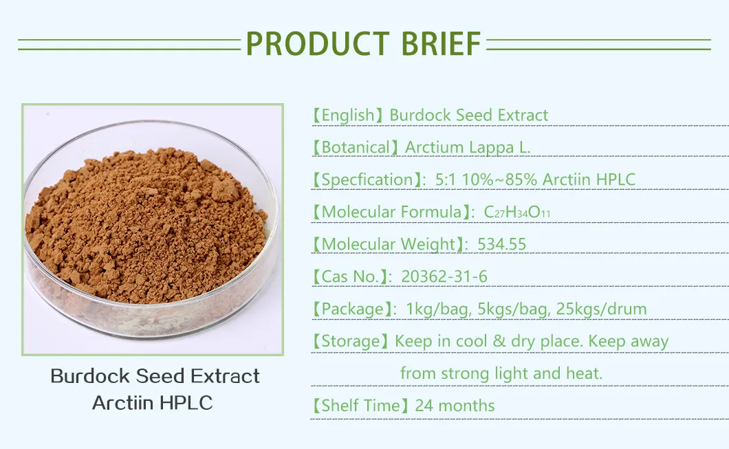 Burdock Root Extract Detail