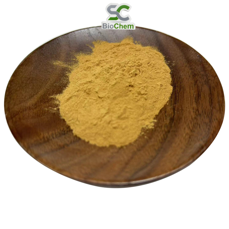 High Quality Wild Chrysanthemum Extract 0.1%-0.8% Parthenolide Feverfew Flower Extract/Wild Chrysanthemum Extract