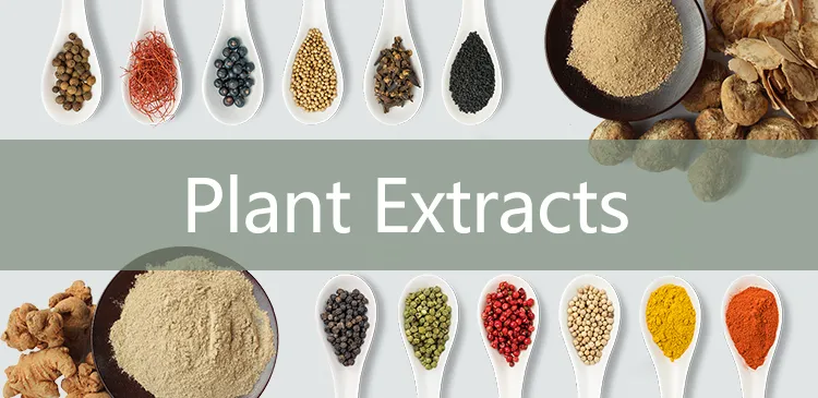 Yucca Schidigera Extract Powder