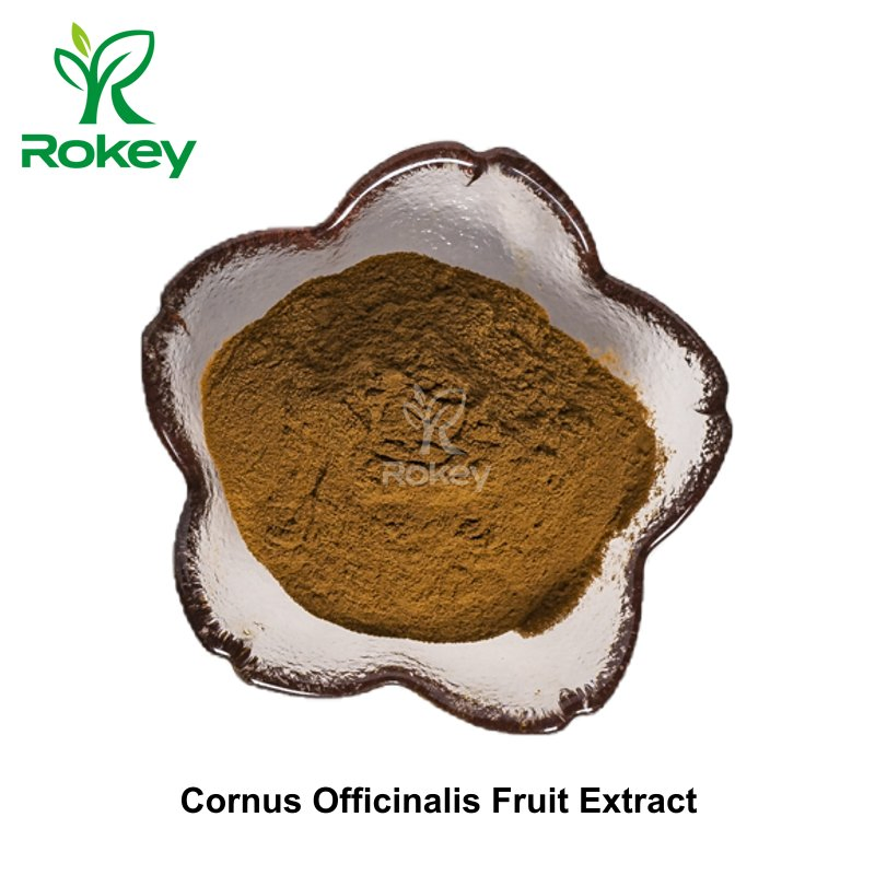 Premium Herbal Extract for Wellness Support Cornus Officinalis Fruit Extract Powder