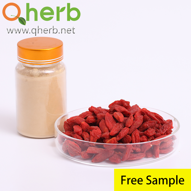 Fruit Extract Natural Goji Berry Extract