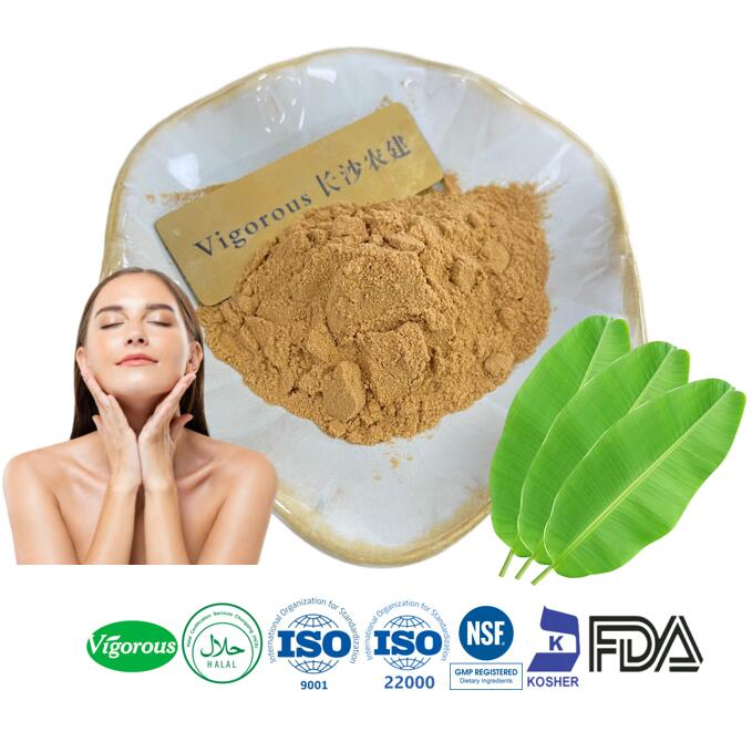 Herbal Powder High Quality Natural 1% Corosolic Acid Banana Leaf Extract Powder