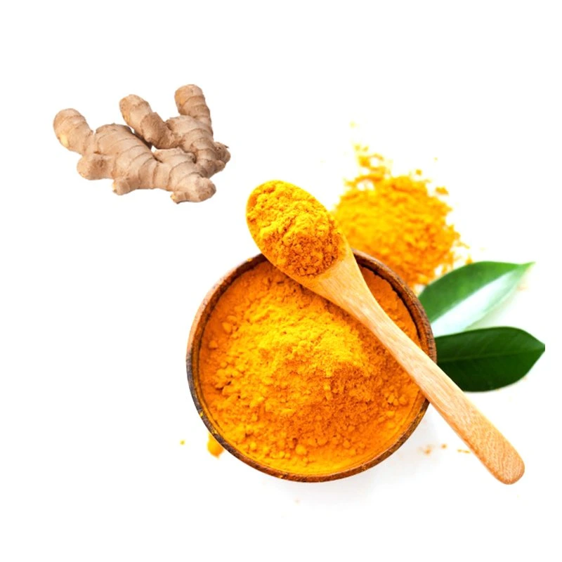 Pure Nature Plant Turmeric Powder for Health Care Product Curcumin Instant Dry Ginger Extract Powder