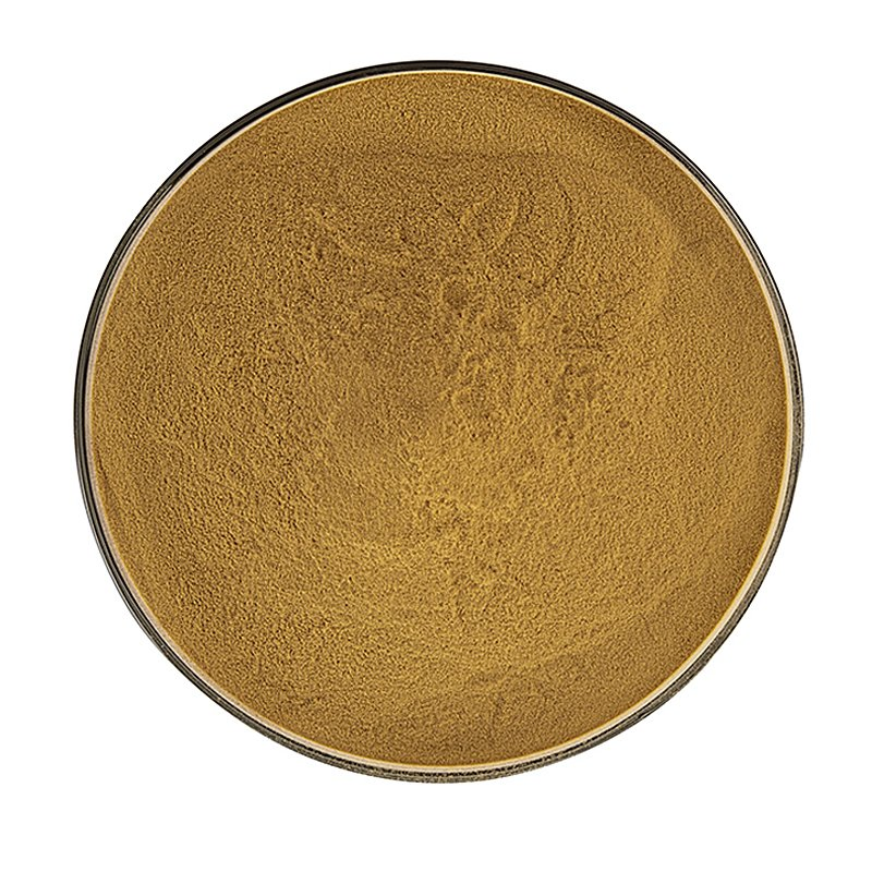 Wholesale Monk Fruit Extract Powder Luo Han Guo Extract Monk Fruit Extract