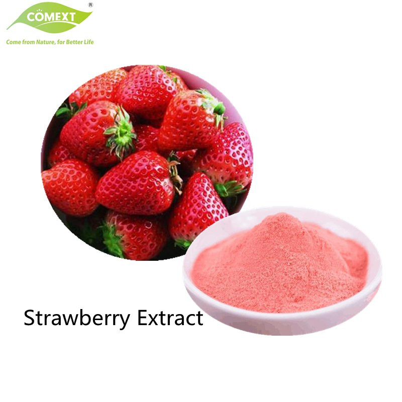Comext Supply Natural Fruit Powder Freeze Dried Strawberry Powder Extract Best Price