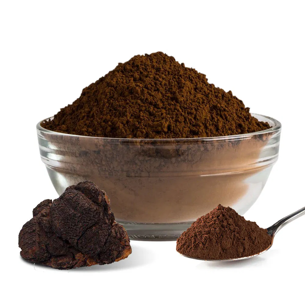 Chaga Mushroom Extract Powder Medicinal Mushroom Extract Pure Healthy Herbal Plant