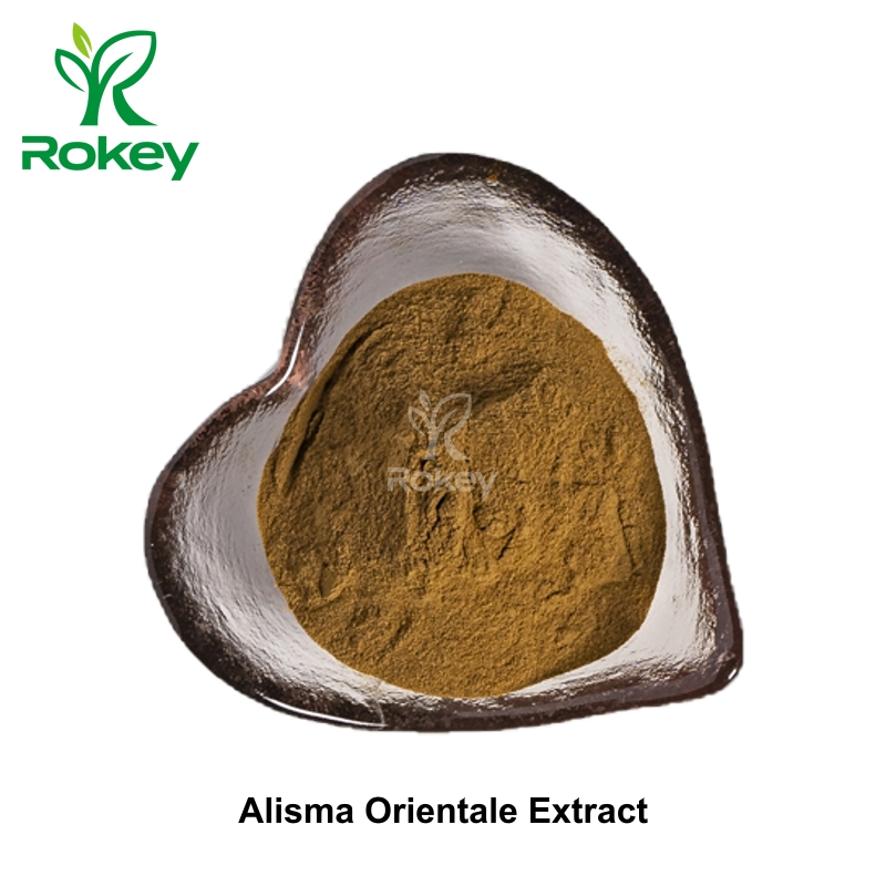 Premium Water Plantain for Herbal Formulations Powder Alisma Orientale Extract