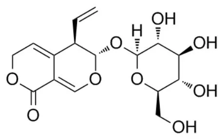 Molecular Structure of Gentiopicroside