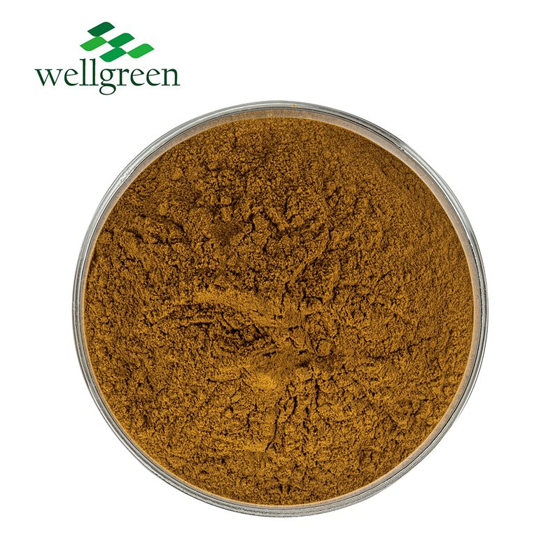 Natural Standardized Salidroside Powder for Stress Relief &amp; Energy with GMP Certificate, 1%-98%Rhodiola Rosea Extract