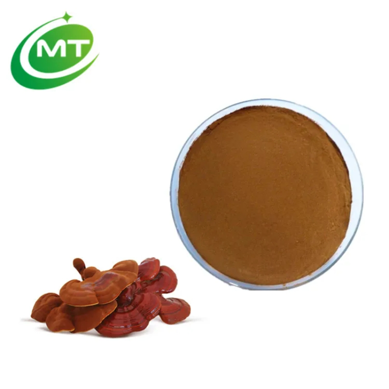 Organic 100% Wholesale Plant Extract Water Soluble Reishi Mushroom Extract Powder