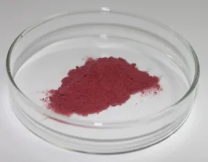 Black Currant Extract