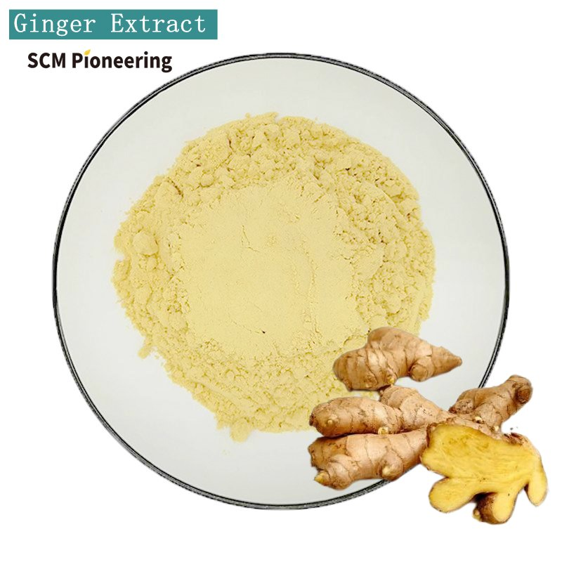 Wholesale Price Ginger Extract 10: 1 Food Grade Ginger Extract Powder