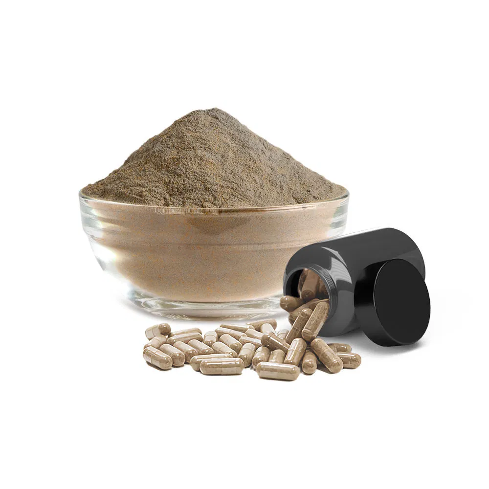 Pure Organic Extract Oyster/Pleurotus Ostreatus Mushroom Powder Capsule Medicinal Mushroom Extract