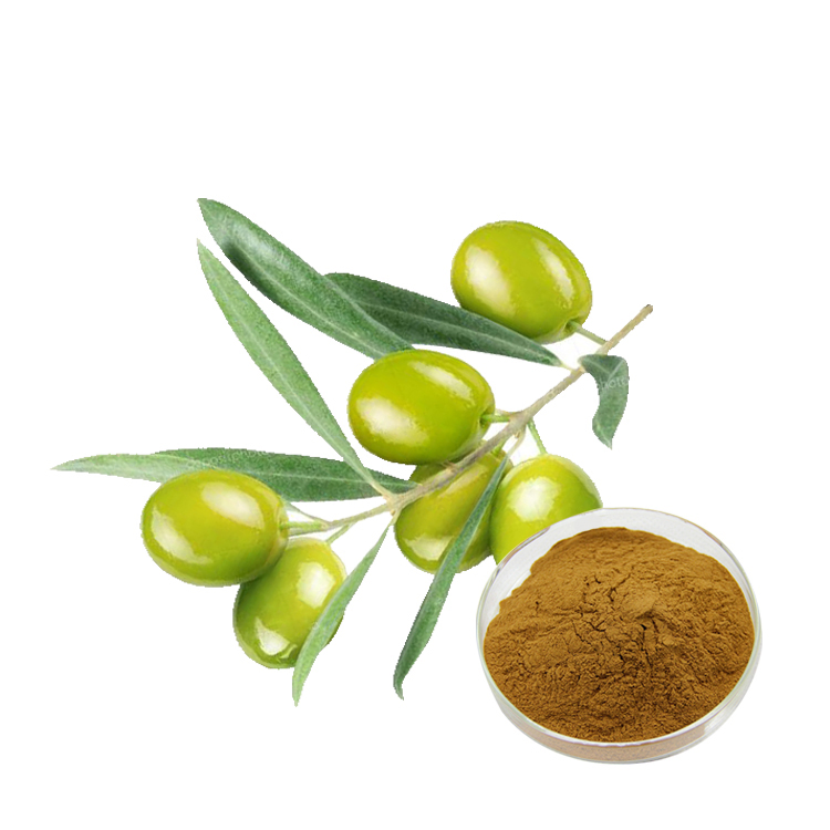 Factory Supply Comext ISO Fssc Halal Kosher Manufacturer California Warehouse USA Stock 10% 20% Oleuropein Powder Olive Leaf Extract