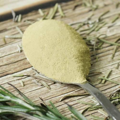 High Purity Plant Exract Herbal Extract Carnosic Acid Organic Rosemary Extract Powder