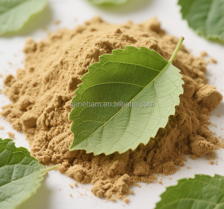 Mulberry Leaf Herbal Extract Powder 2% 1-Deoxynojirimycin Food Grade Natural Plant Supplement