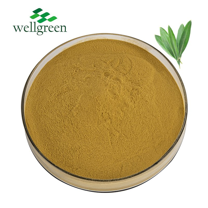 Standardized Olive Leaf Extract for Functional Foods &amp; Supplements with HPLC Tested Oleuropein Extract Powder